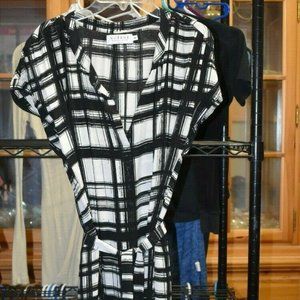 Velvet by Graham & Spencer Shirt Dress w/belt XS